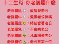 十二生肖-你老婆屬什麼？