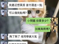 這樣回他行不行...