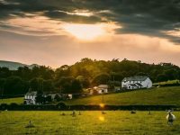 28號發橫財，29號中大獎，30號遇貴人好運不斷必發的生肖