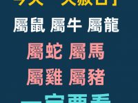 天赦日「屬鼠 屬牛 屬龍 屬蛇 屬馬 屬雞 屬豬 」一定要看！