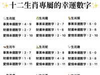 十二生肖專屬的幸運數字！