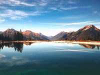 屬虎、屬馬、屬猴下半年不得了，把大家都嚇傻了！