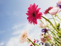 挺過世界末日！十二星座下半年的運勢轉折點！