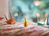 專家提醒：2026年「屬蛇 屬虎 屬兔 屬豬 屬狗」注意了！