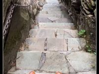 這是在上山還是下山？答對的都是高智商！