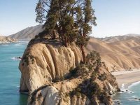 以第一眼為準,98%的人看到的都是蛇!看你晚年有多大福氣! 以第一眼為準,98%的人看到的都是蛇!看你晚年有多大福氣!