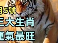 明天7月5號 三生肖運氣最旺