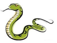 命理師提醒:蛇、豬、牛、鼠今日拜土地公!拜對讓你旺到年底! 命理師提醒:蛇、豬、牛、鼠今日拜土地公!拜對讓你旺到年底!