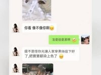 老公真是天賦異稟...