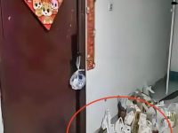 鄰居家門口天天「堆滿外賣袋」但人卻從不出現,網友一眼看出「1細節」全網炸了! 鄰居家門口天天「堆滿外賣袋」但人卻從不出現,網友一眼看出「1細節」全網炸了!