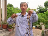 震驚！6旬翁留指甲33年「從不洗手」開價曝光！