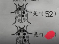 幼兒園「甲蟲數學題」家長崩潰!網看傻:懂邏輯的才解得出來 幼兒園「甲蟲數學題」家長崩潰!網看傻:懂邏輯的才解得出來