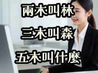 面試神反應！「五木叫什麼」女大生神回覆被錄取