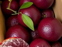 「這是什麼神秘水果？」同學寄來超鮮豔紫色果實，網友一看全傻眼：長知識了！