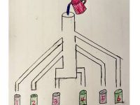 哪個杯子能裝到水,答對的智商很高! 哪個杯子能裝到水,答對的智商很高!