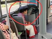 公車驚見「撐傘姐」!PO網吐槽後,網友放大照秒道歉 公車驚見「撐傘姐」!PO網吐槽後,網友放大照秒道歉