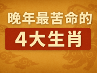 晚年最苦命的「4大生肖」 晚年最苦命的「4大生肖」