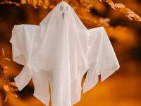 注意！鬼門開「天秤、天蠍、處女、獅子、射手」有大變動！