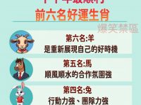 下半年最順利前六名生肖