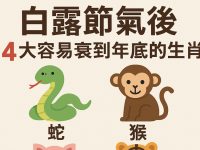 白露節氣後,4 大容易衰到年底的生肖! 白露節氣後,4 大容易衰到年底的生肖!