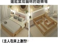 床下的貓咪... 床下的貓咪...