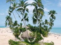 第一眼看到什麼?98%的人都說是「蛇」!看你晚年的福氣有多大! 第一眼看到什麼?98%的人都說是「蛇」!看你晚年的福氣有多大!