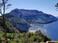 你第一眼看到什麼，98%的人看到的都是蛇！看你晚年有多大福氣！