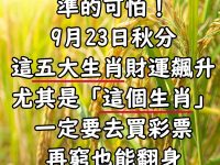 準到嚇人！秋分五大旺財生肖出爐，第一名翻身有望！