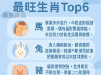 2026年財神加持! 橫財最旺TOP6 2026年財神加持! 橫財最旺TOP6