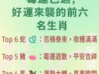 霉運已過，好運來襲前六名生肖