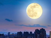 中秋來臨「屬鼠 屬龍 屬豬 屬虎 屬狗」一定要看！