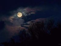 中秋迎水逆！4星座多災多難！