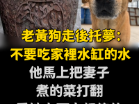 老黃狗走後托夢：「不要吃家裡水缸的水！」他馬上把妻子煮的菜打翻，看地上兩人都傻住