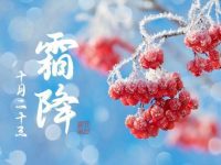 霜降！ 「豬、雞、虎、兔、蛇、馬」穿這3種顏色衣服，財運好運旺到年底！