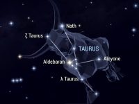 這四星座最專情！桃花再多也不花心！