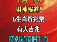十月財神報道！6生肖買彩票有大吉兆，特別是這個生肖必中頭獎