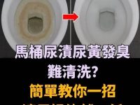 馬桶尿漬尿黃發臭難清洗？簡單教你一招，讓馬桶煥然一新