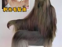 她是世上毛髮最多的女性！剃光毛髮後「重拾自信心」美翻衆人：本尊好漂亮