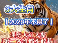 6大生肖2026年不得了！運勢大紅大紫「第二名誰都不敢惹」
