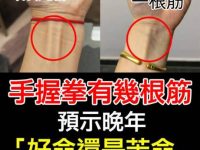 手握拳有幾根筋，預示晚年「福命還是苦命」：太準了