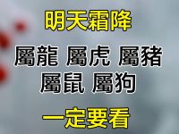 明天霜降「屬龍 屬虎 屬豬 屬鼠 屬狗」一定要看！