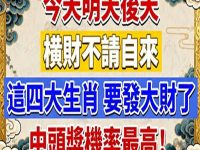 連中三天！4生肖財運大爆發，中頭獎機率最高！