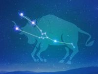 婚後每天都在後悔！這幾組星座一結婚就變怨偶！