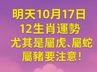 明天10月17日12生肖運勢 尤其是屬虎、屬蛇、屬豬要注意!