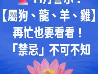 🚨11月警示！【屬狗、龍、羊、雞】再忙也要看看！「禁忌」不可不知