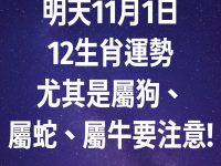 明天11月1日12生肖運勢 尤其是屬狗、屬蛇、屬牛要注意!