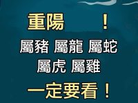 注意！重陽「屬豬 屬龍 屬蛇 屬虎 屬雞」一定要看！