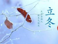 今天「立冬」屬兔 屬猴 屬狗 屬蛇 屬虎 一定要看！