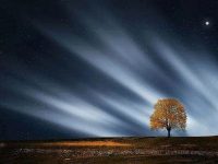 專家示警：「屬雞 屬龍 屬虎 屬狗 屬鼠」年底恐有大變動 一定要看！