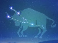 年末閃婚！這三大星座突然想定下來